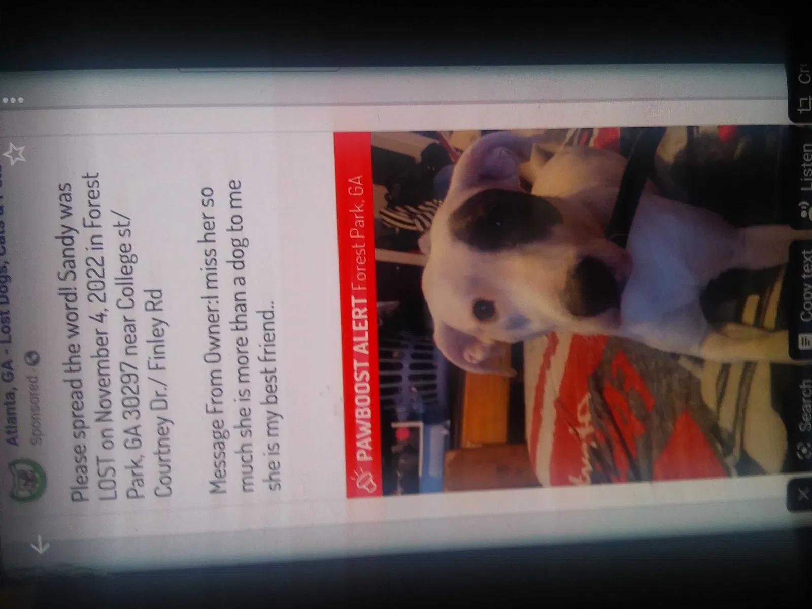 Lost dog in Forest Park, GA, 30297