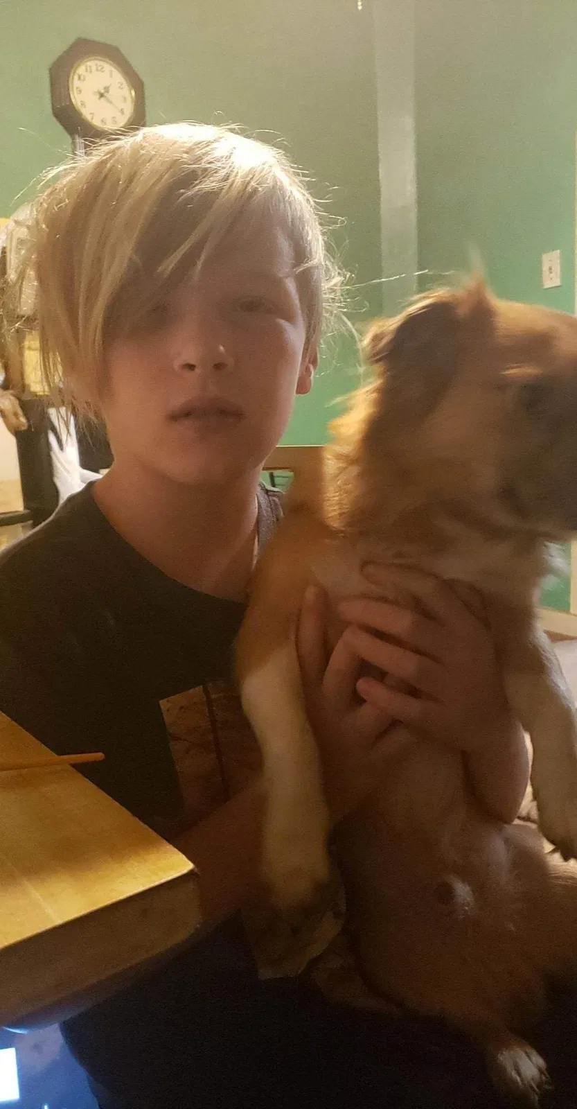 Lost dog in Marion, OH, 43302