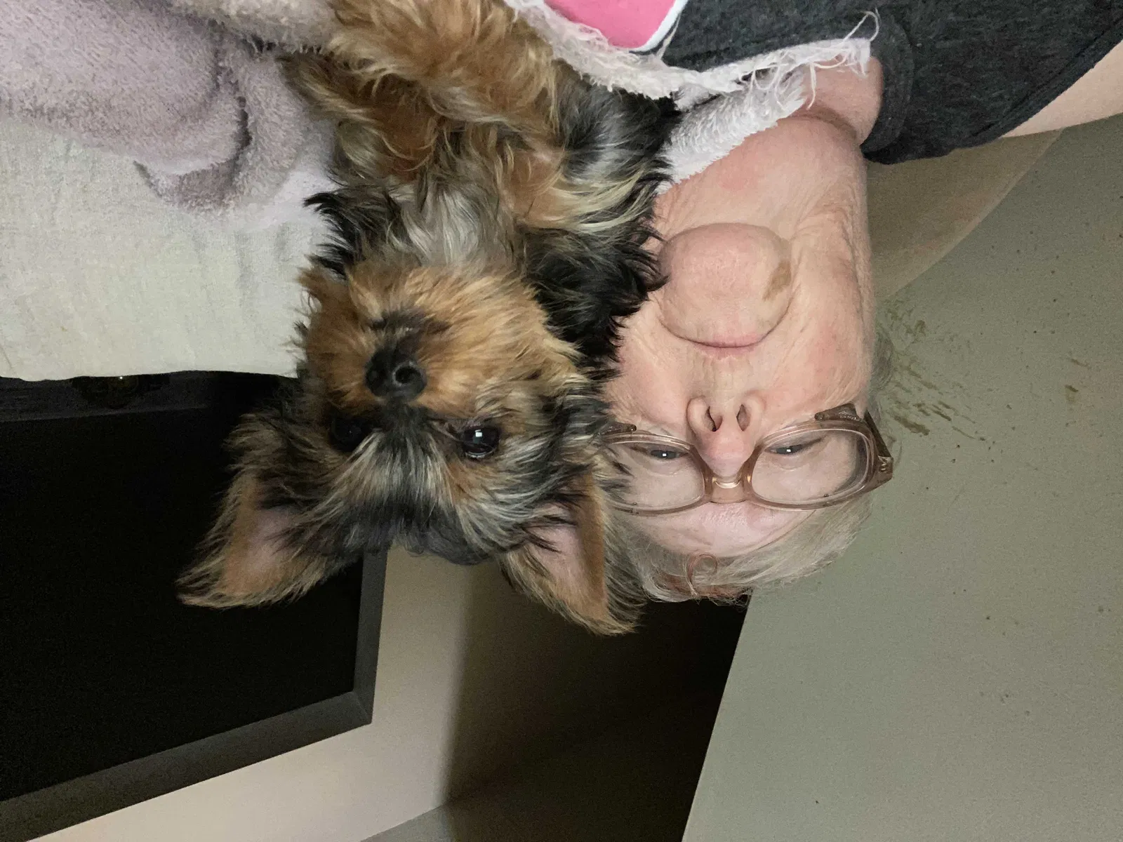 Lost dog in Louisville, KY, 40219