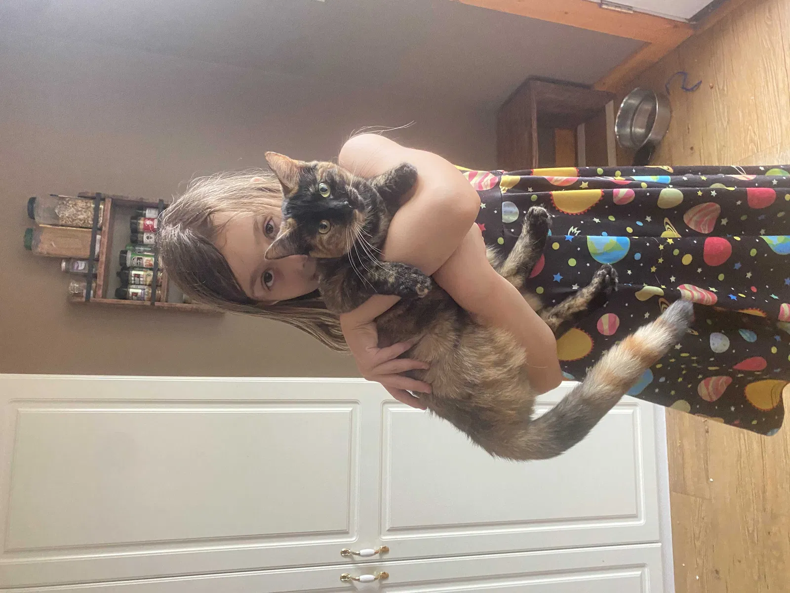 Lost cat in Carrollton, OH, 44615