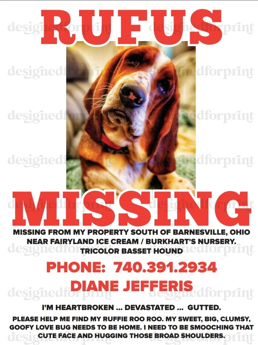 Lost dog in Barnesville, OH, 43713