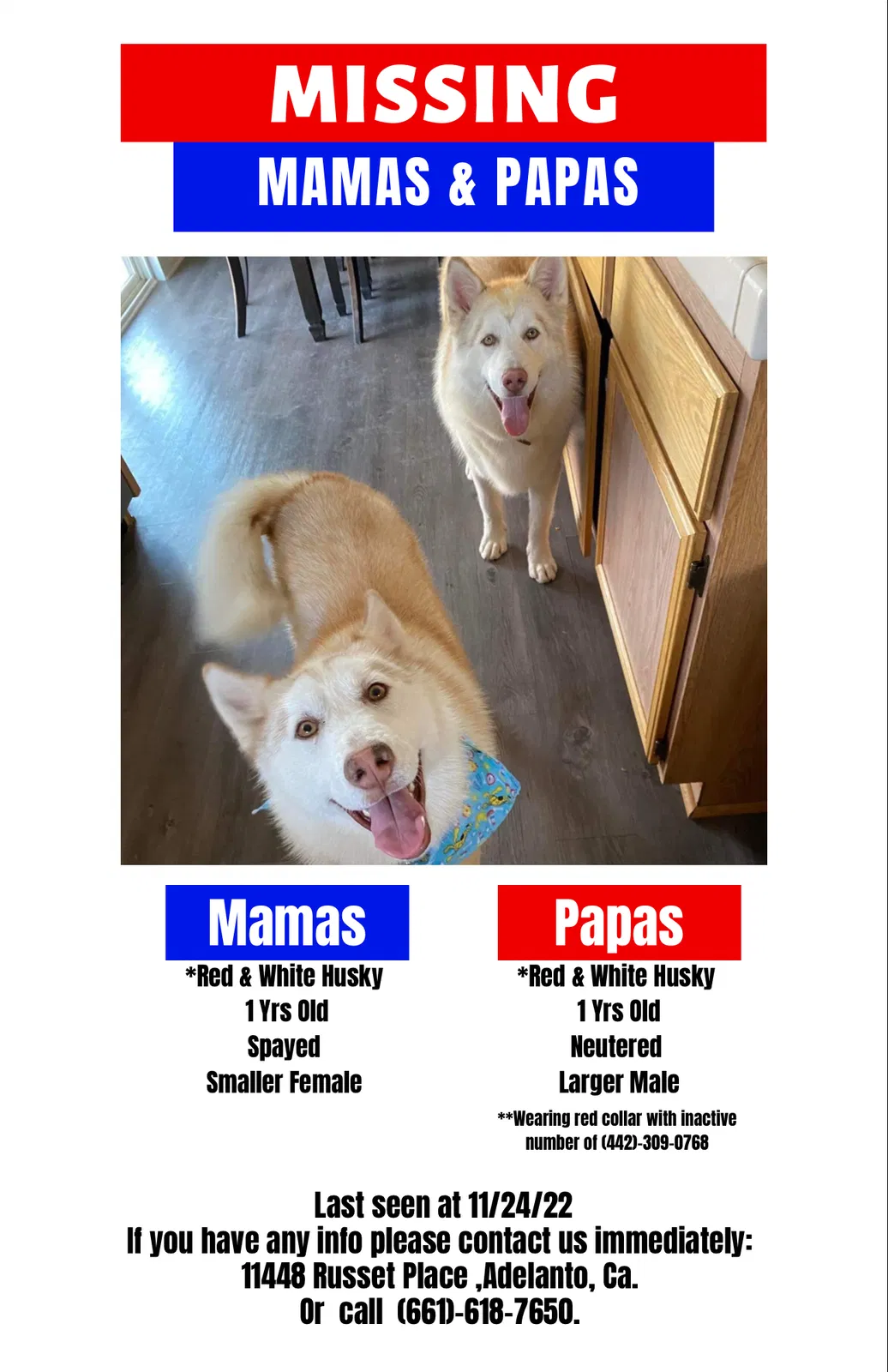 Lost dog in Adelanto, CA, 92301