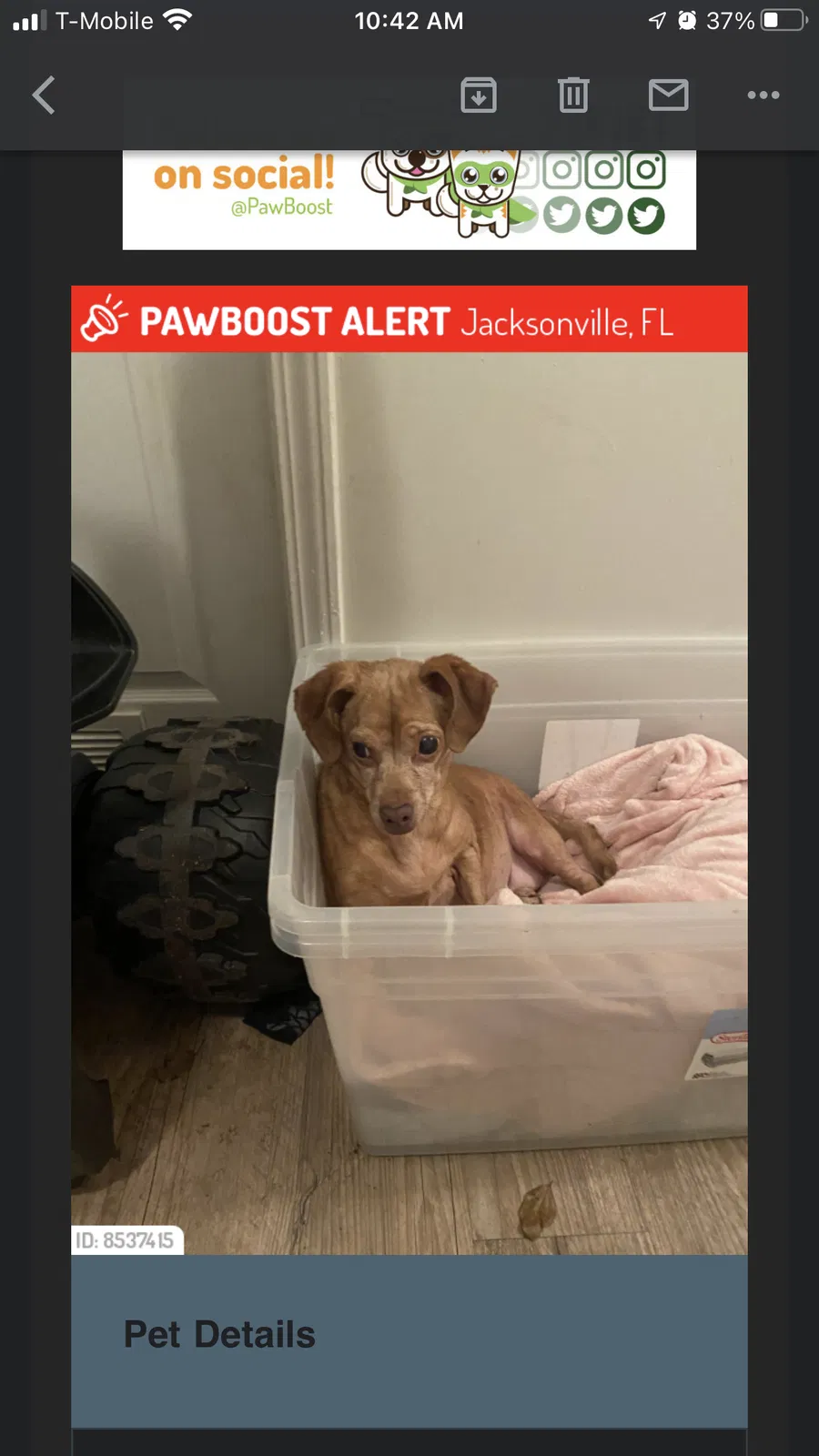 Lost dog in Jacksonville, FL, 32244