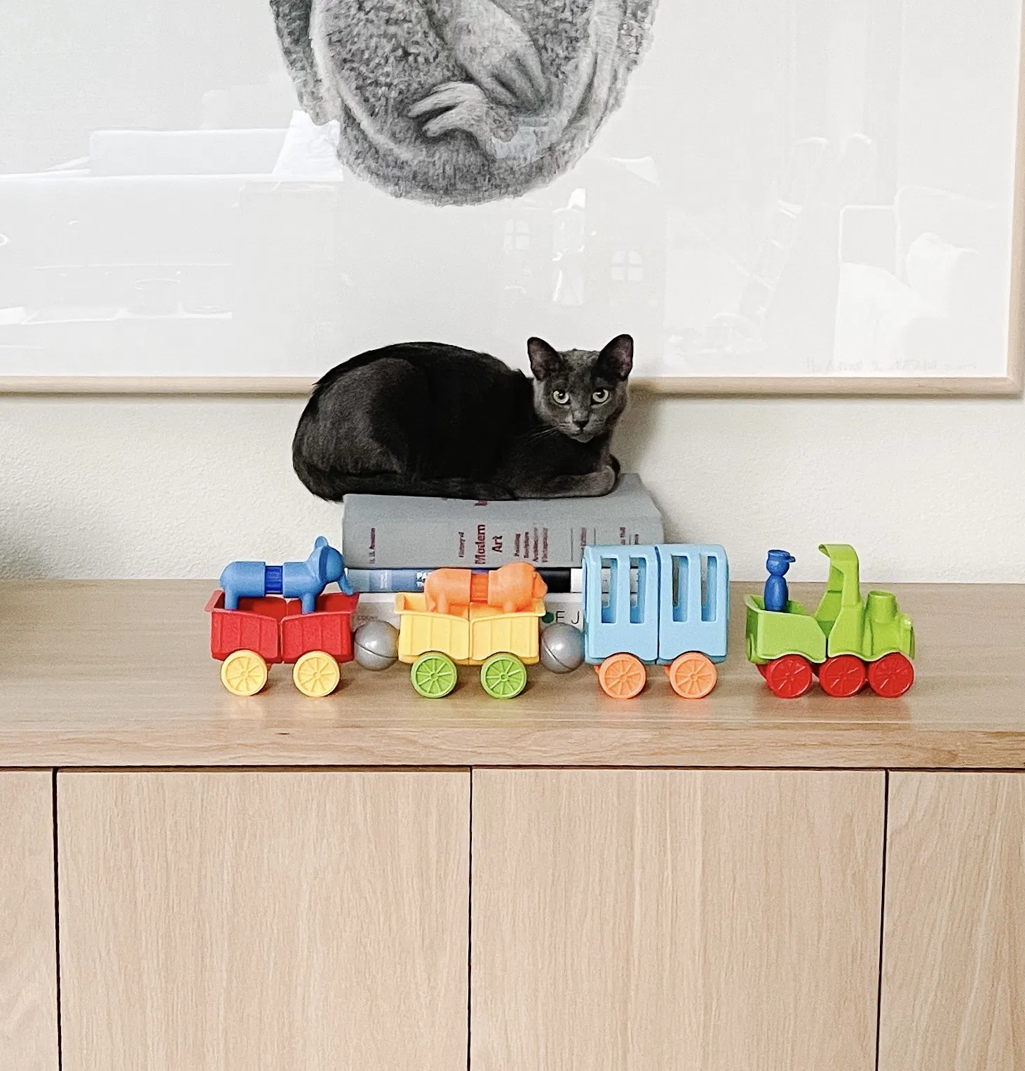 Lost cat in Fort Worth, TX, 76107