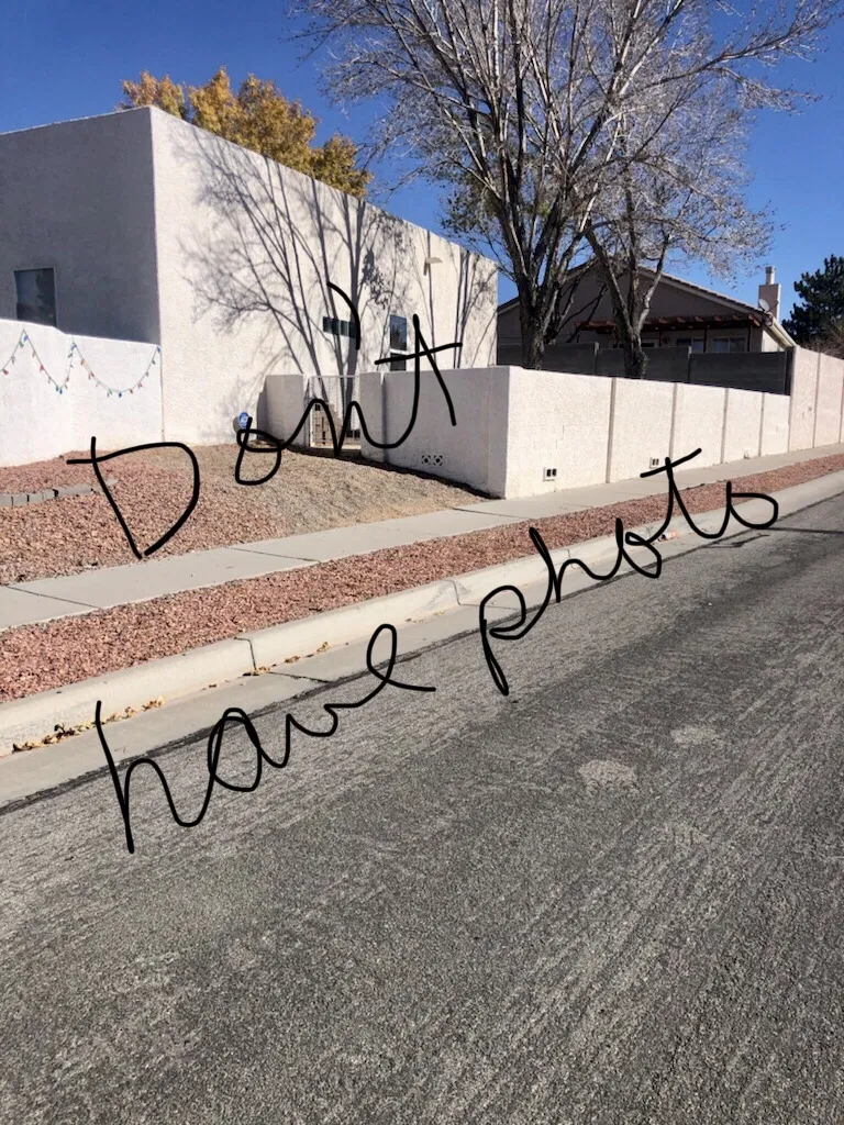 Lost dog in Albuquerque, NM, 87114