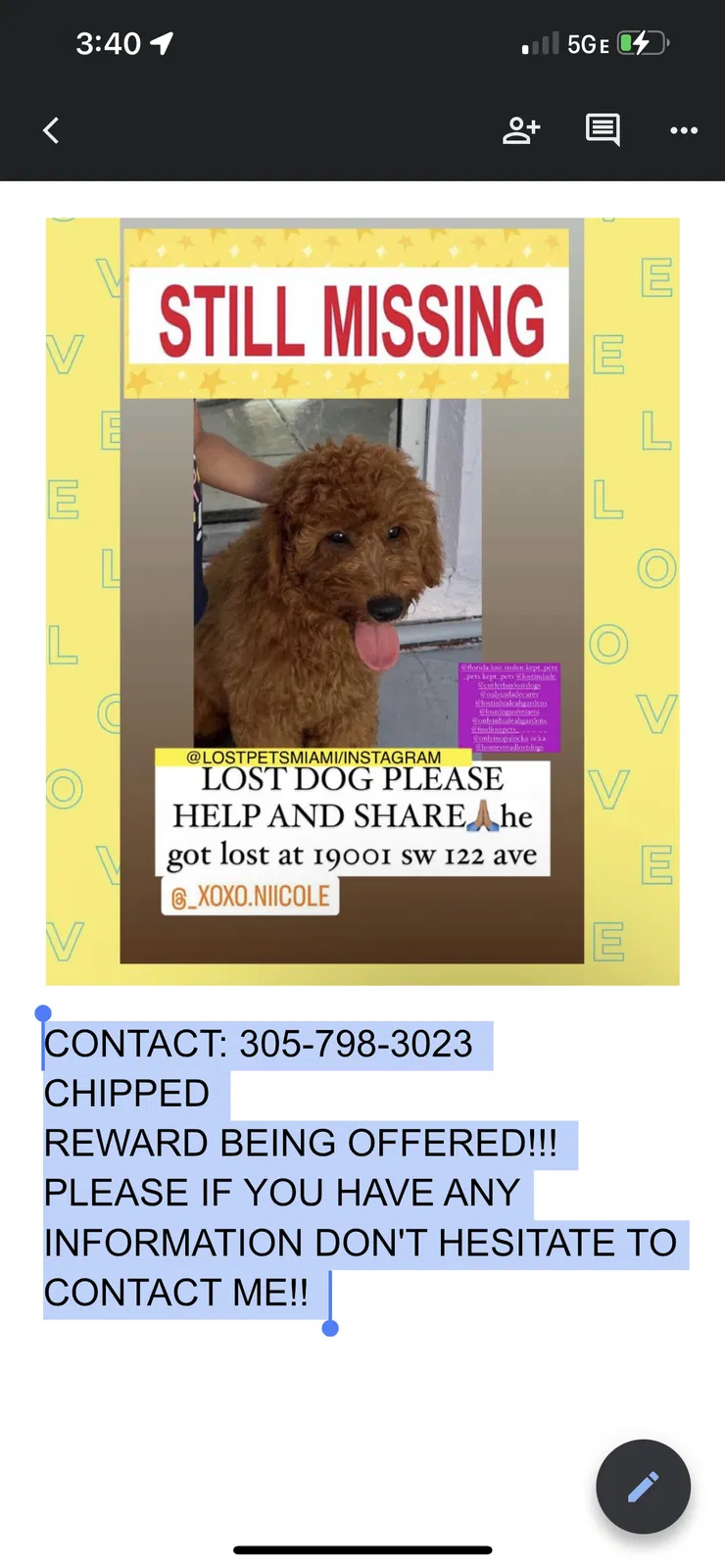 Lost dog in Miami, FL, 33177