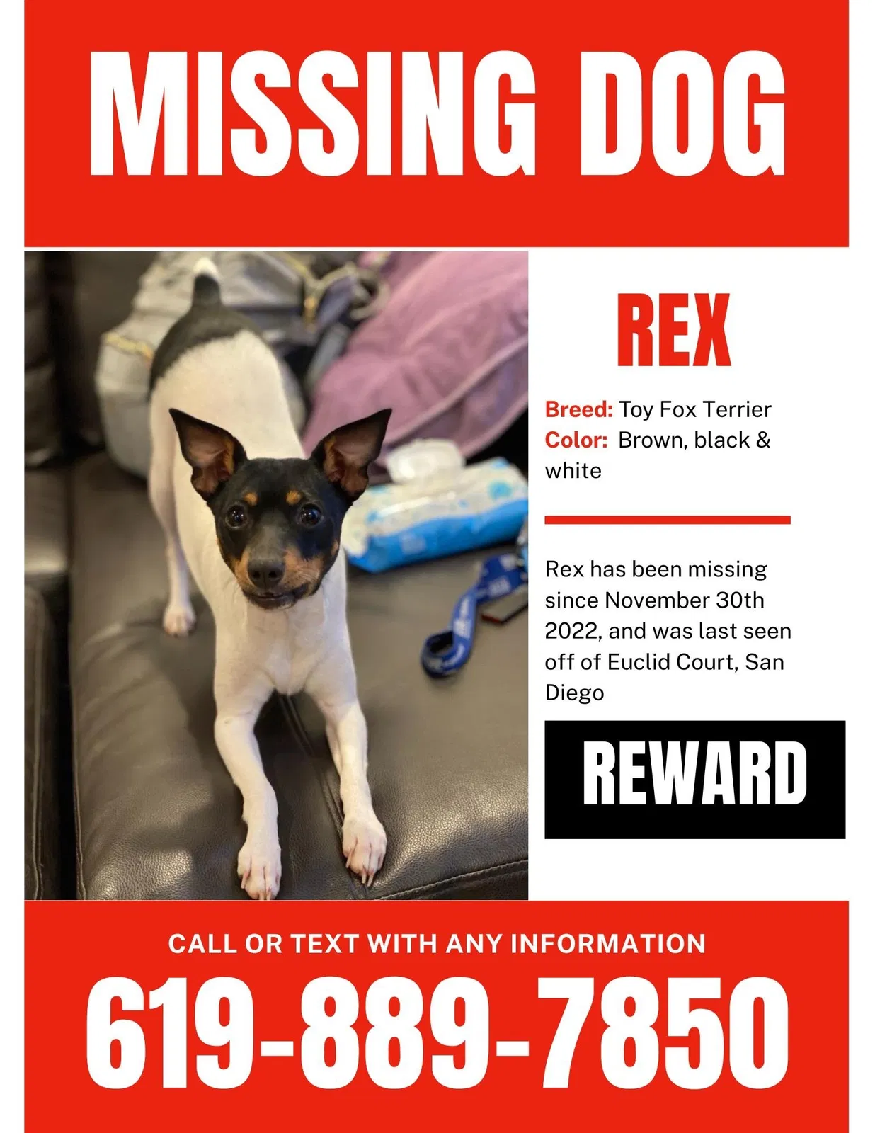 Lost dog in San Diego, CA, 92105