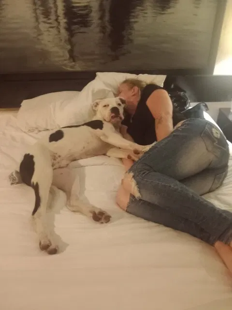 Lost dog in Vallejo, CA, 94591