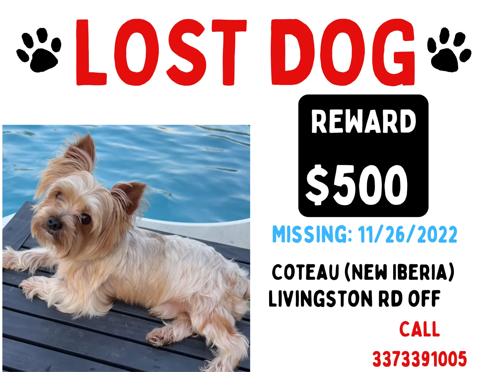 Lost dog in New Iberia, LA, 70560