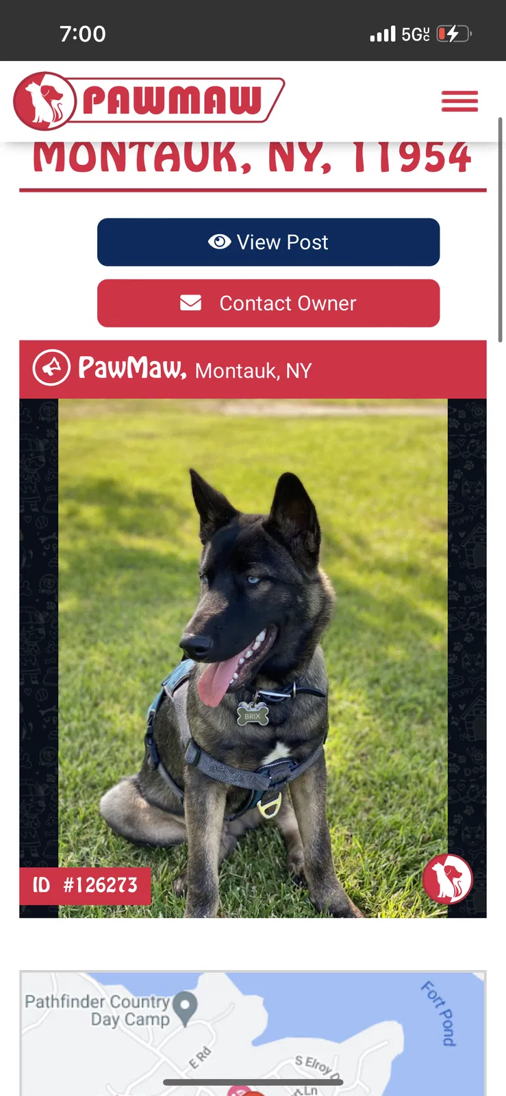 Lost dog in Unknown, NY, 120