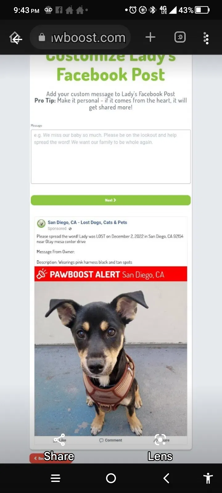 Lost dog in San Diego, CA, 92153
