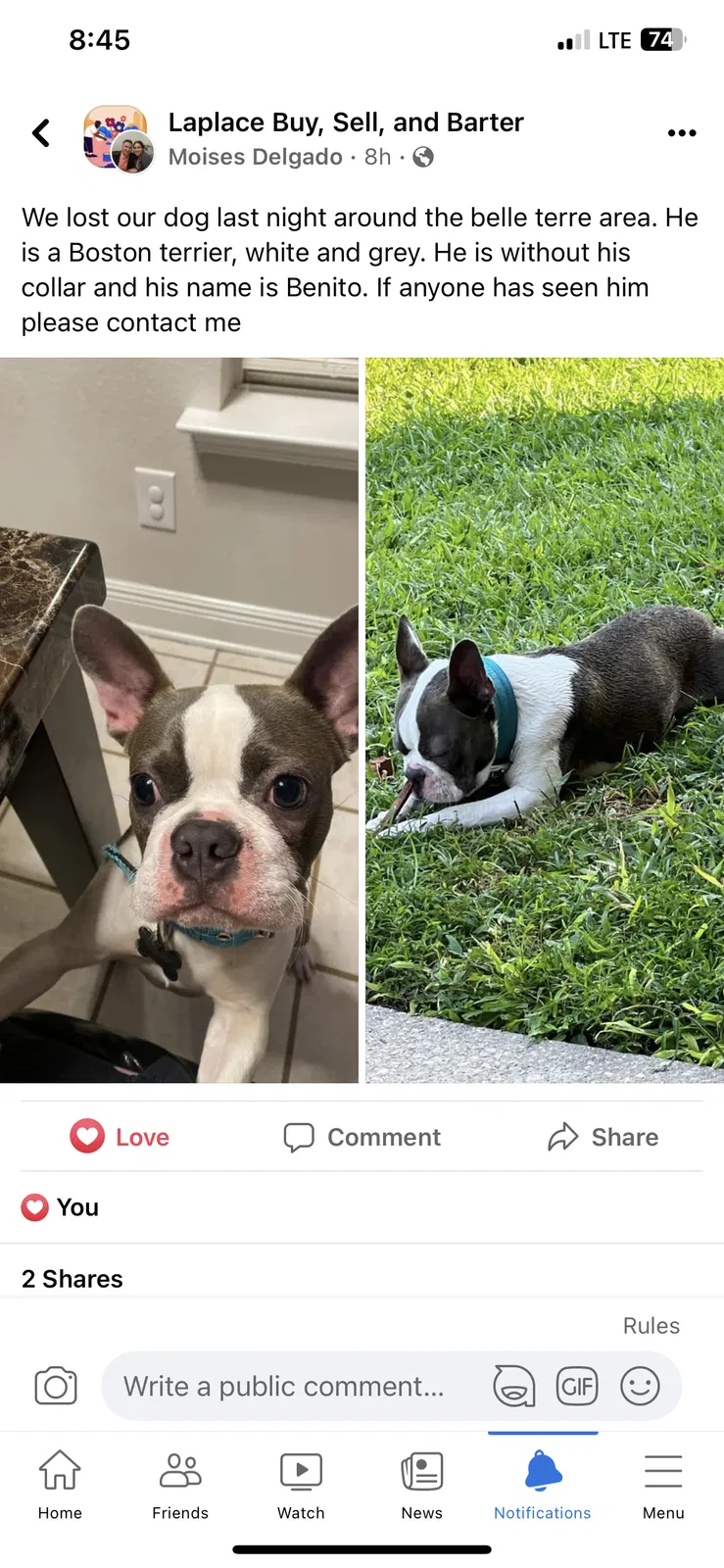 Lost dog in La Place, LA, 70068