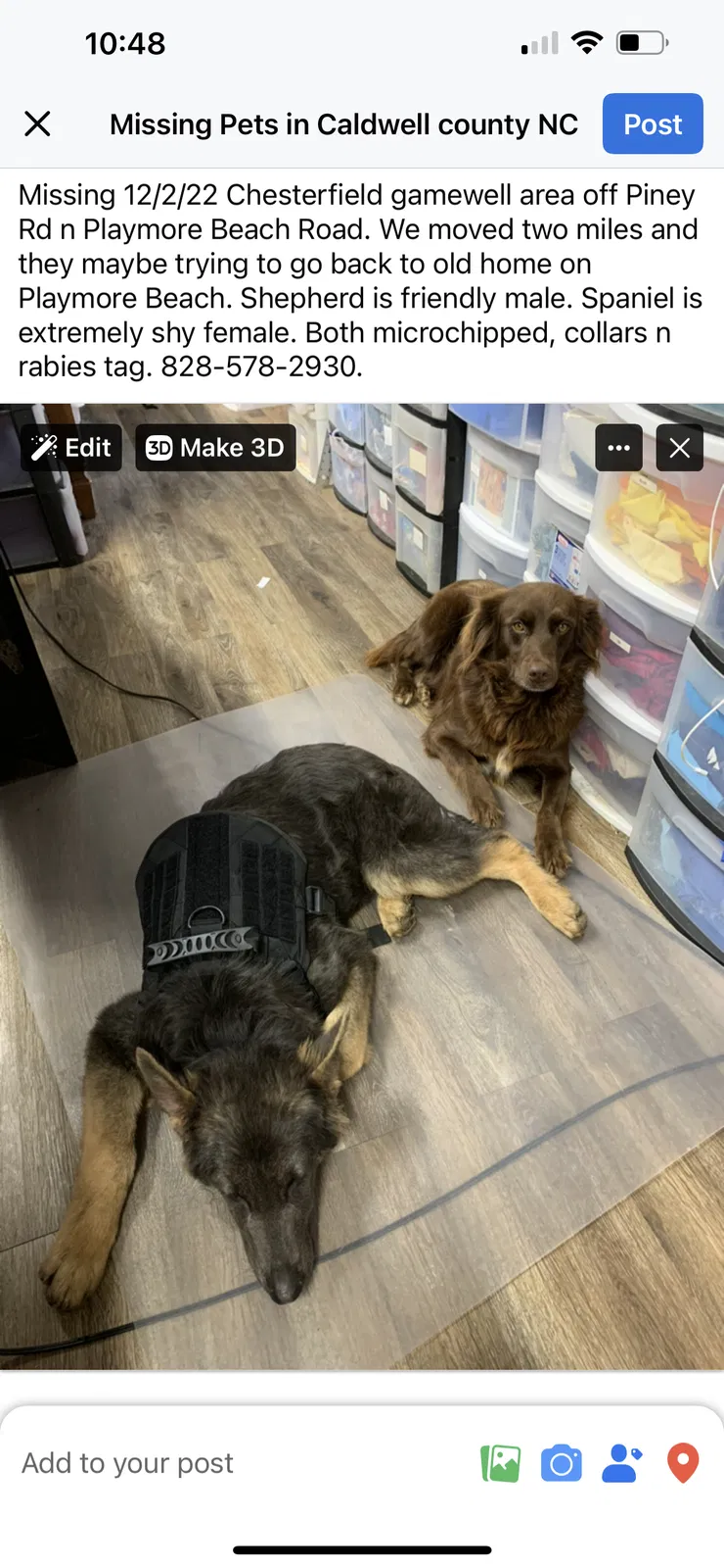 Lost dog in Morganton, NC, 28655