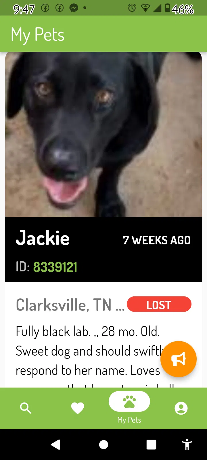 Lost dog in Clarksville, TN, 37042