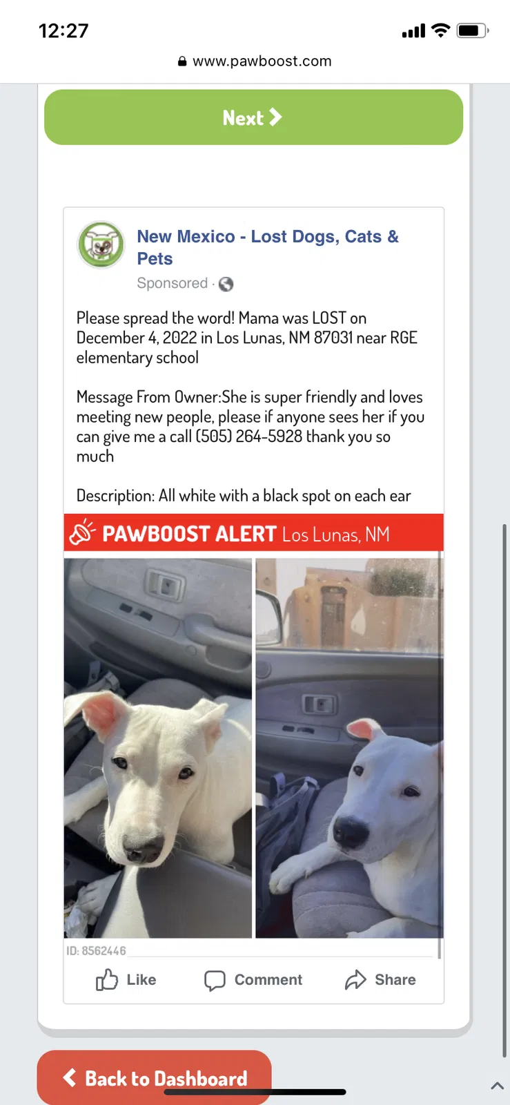 Lost dog in Los Lunas, NM, 87031