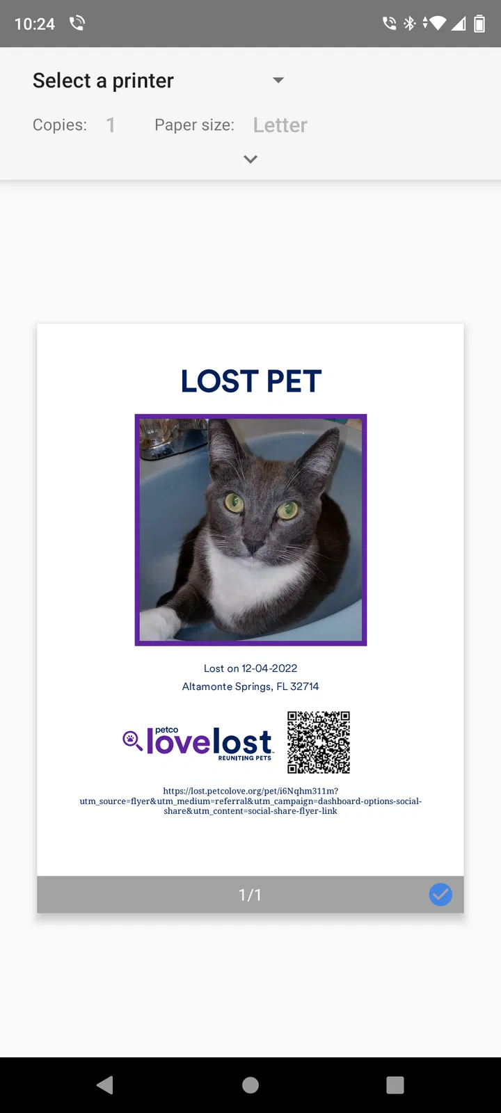 Lost cat in Altamonte Springs, FL, 32714