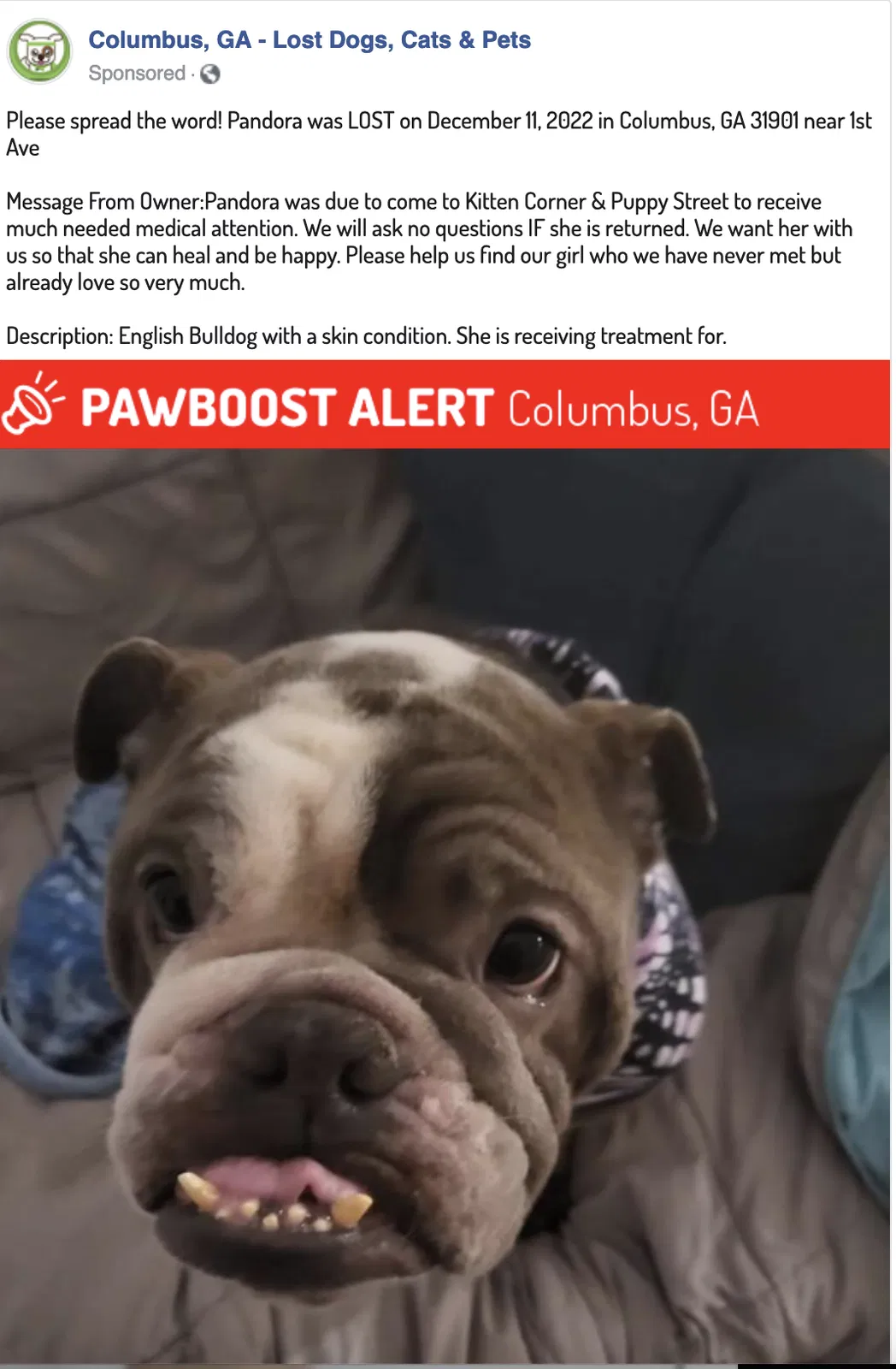 Lost dog in Unadilla, GA, 31091
