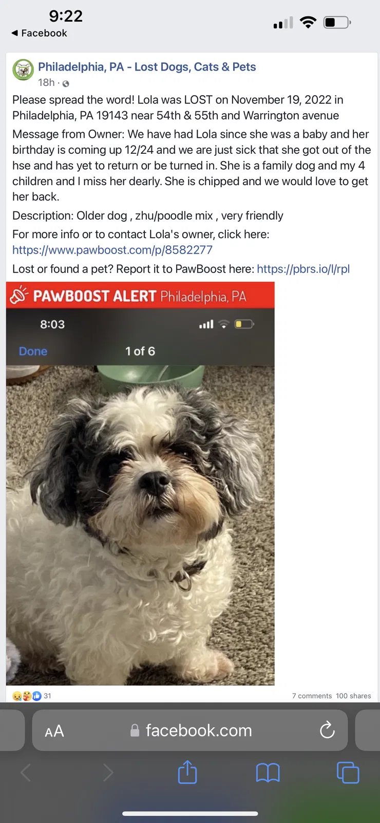 Lost dog in Philadelphia, PA, 19143