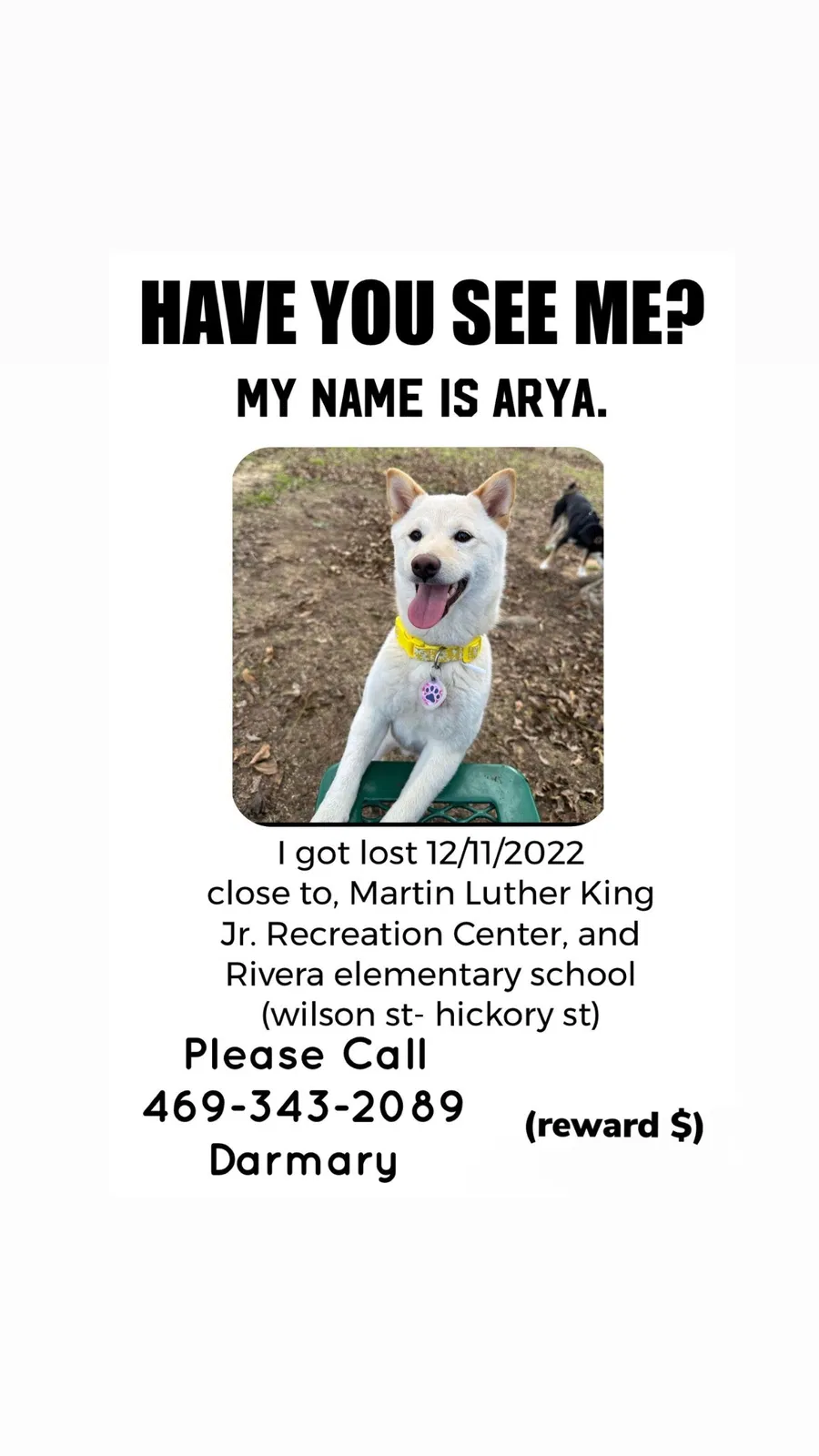Lost dog in Denton, TX, 76205