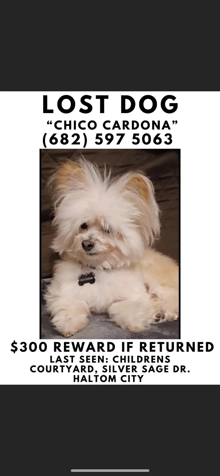 Lost dog in Fort Worth, TX, 76137
