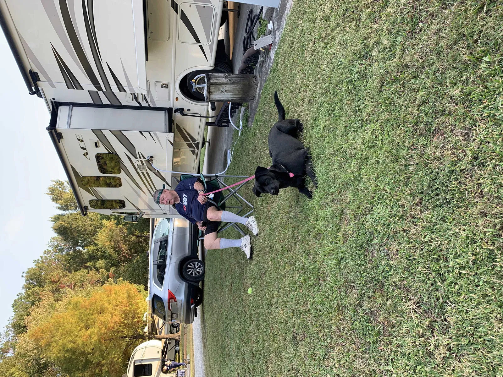Lost dog in Naples, FL, 34114