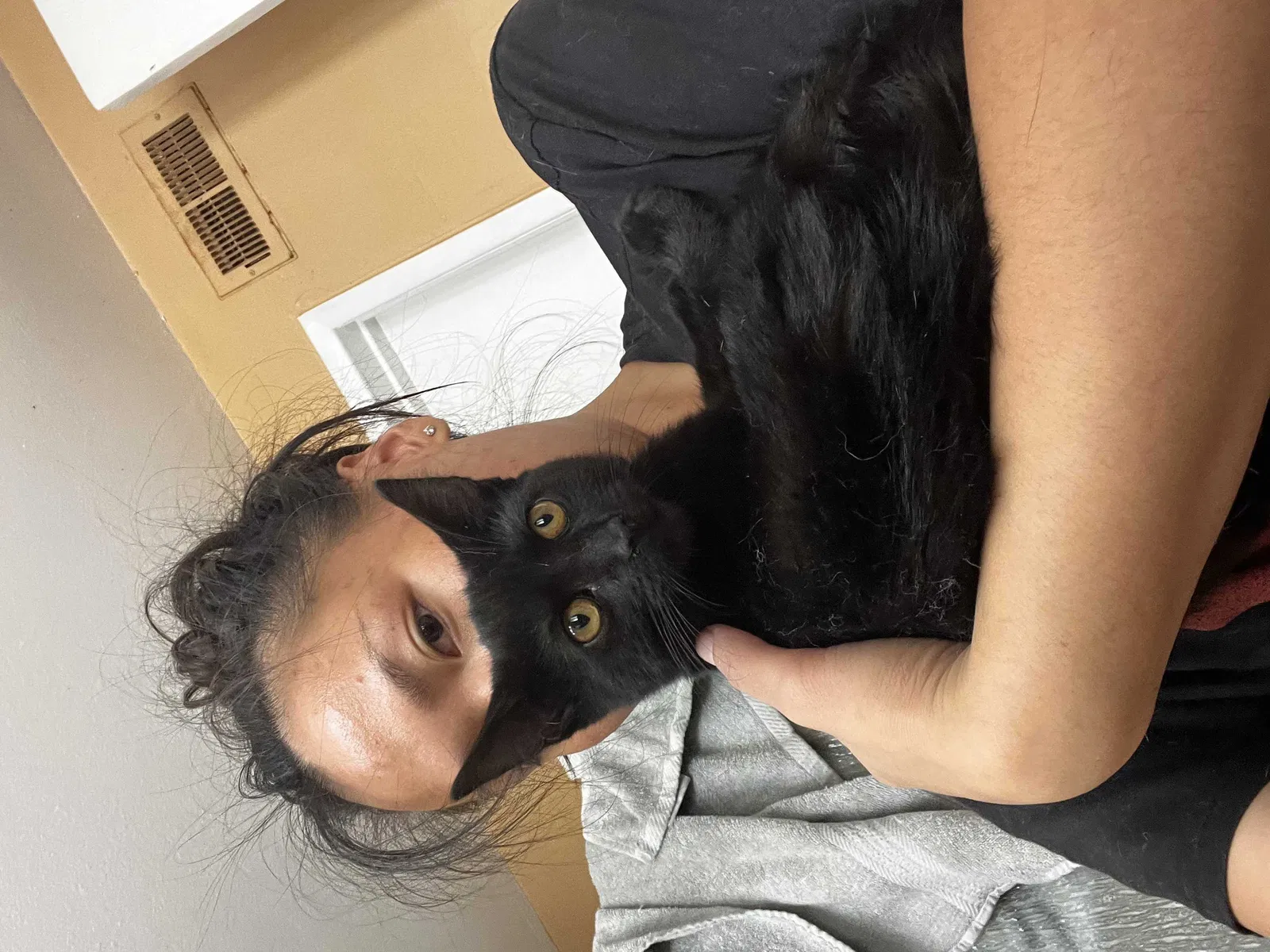 Lost cat in Anaheim, CA, 92804