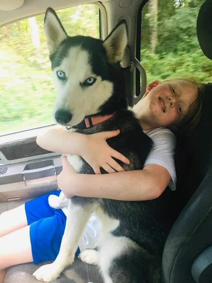Lost dog in Granite Falls, NC, 28630