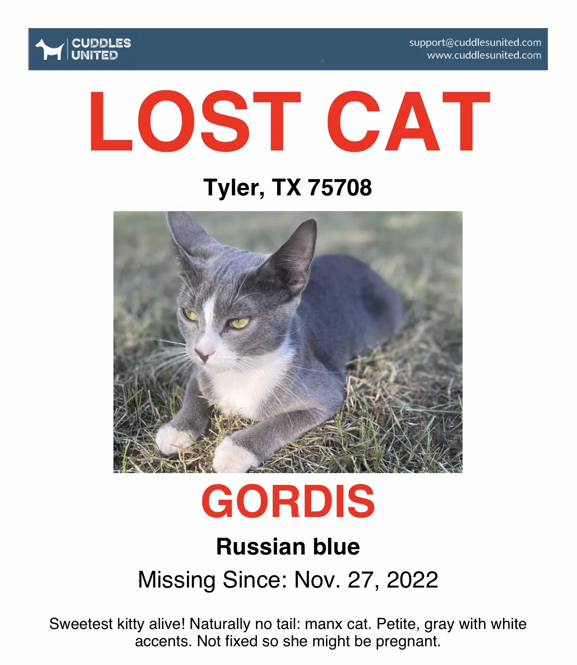 Lost cat in Tyler, TX, 75708