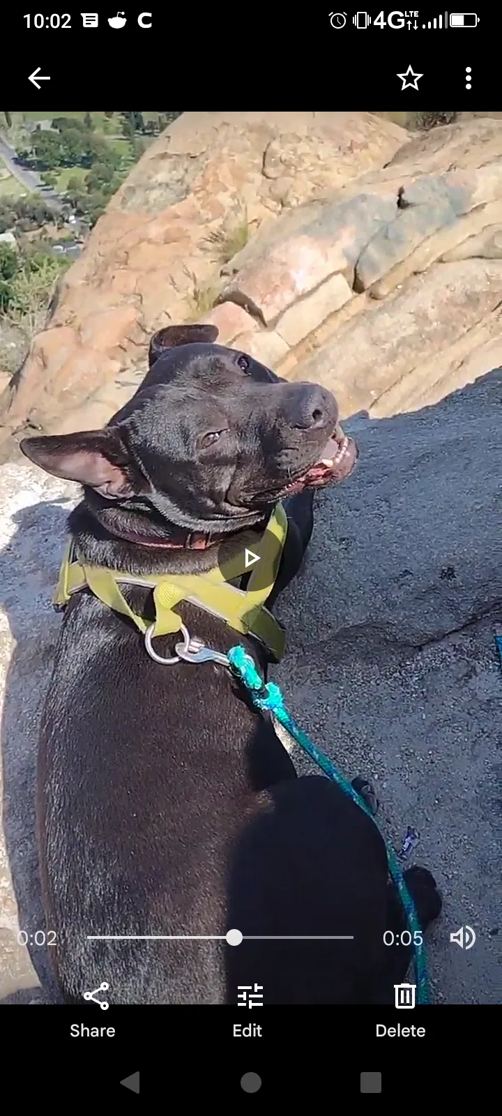 Lost dog in Diamond Bar, CA, 91765