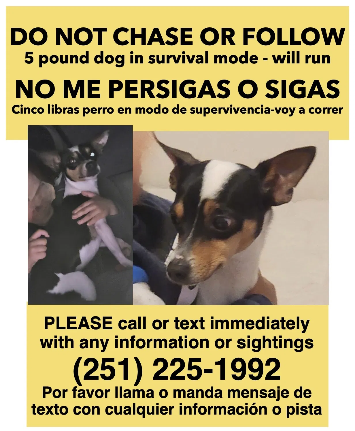 Lost dog in Greeley, CO, 80631