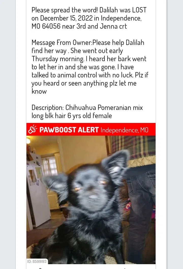 Lost dog in Independence, MO, 64056