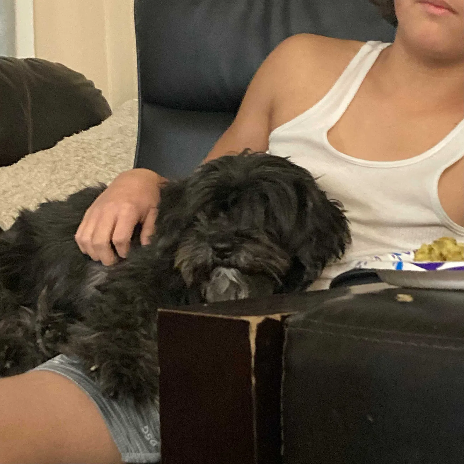 Lost dog in Caldwell, ID, 83605