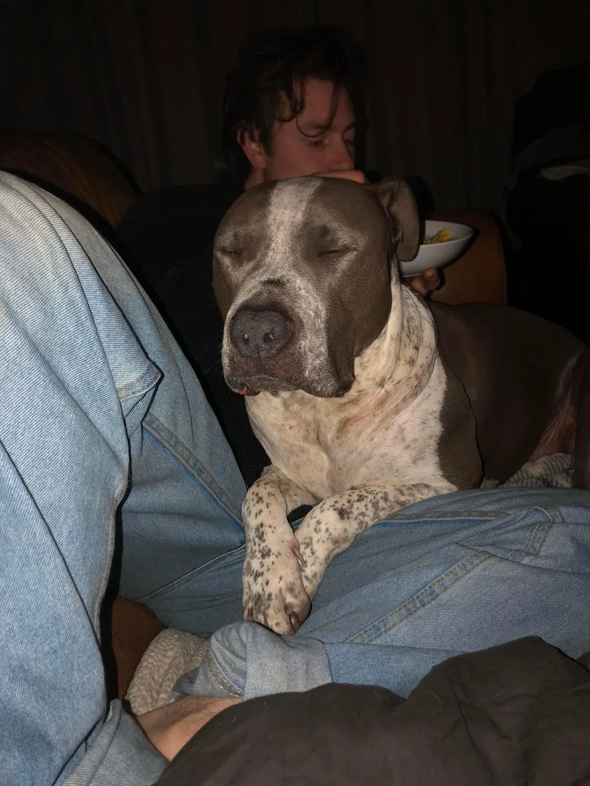 Lost dog in Smithville, TN, 37166