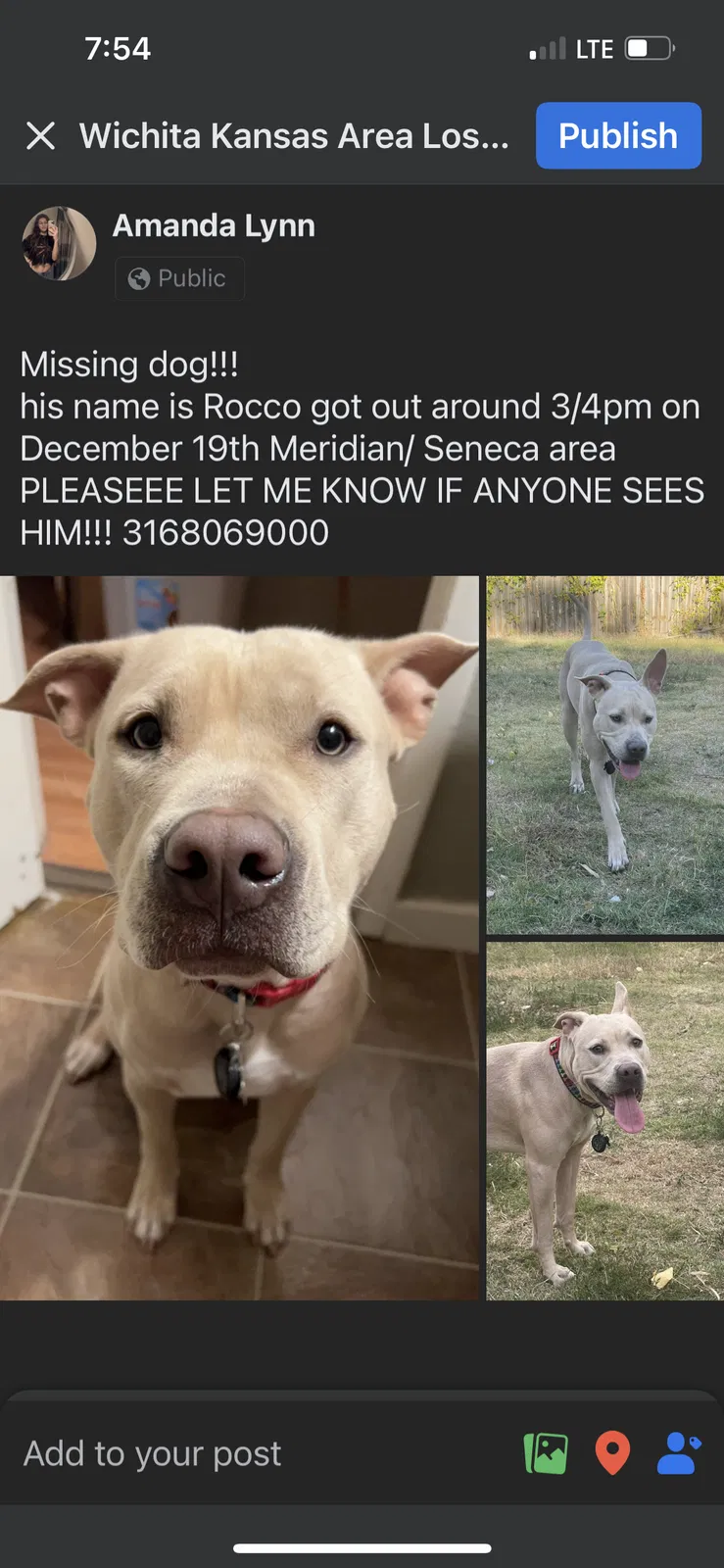 Lost dog in Wichita, KS, 67213