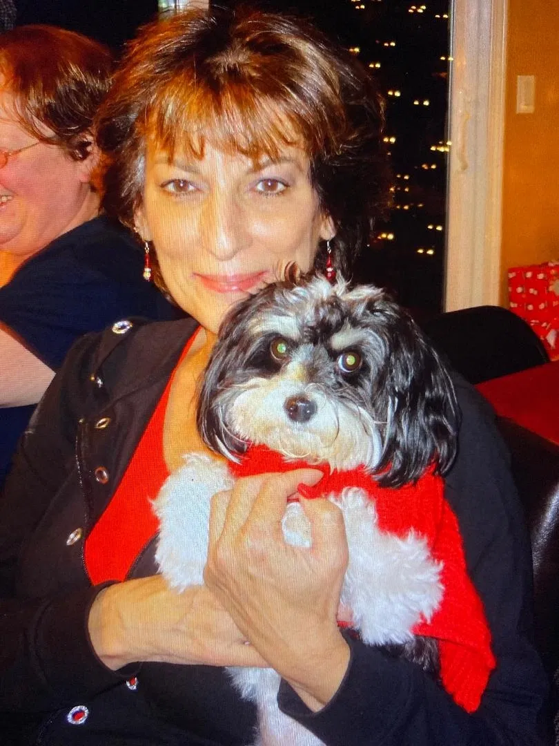 Lost dog in Lincoln, CA, 95648