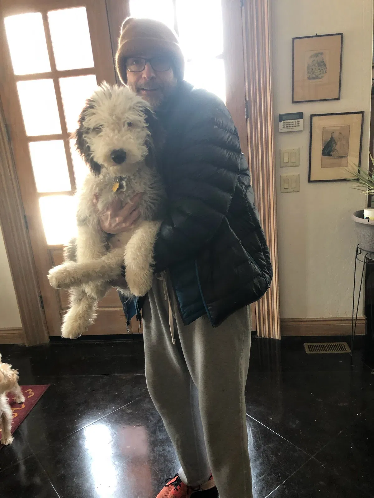 Lost dog in Oklahoma City, OK, 73151