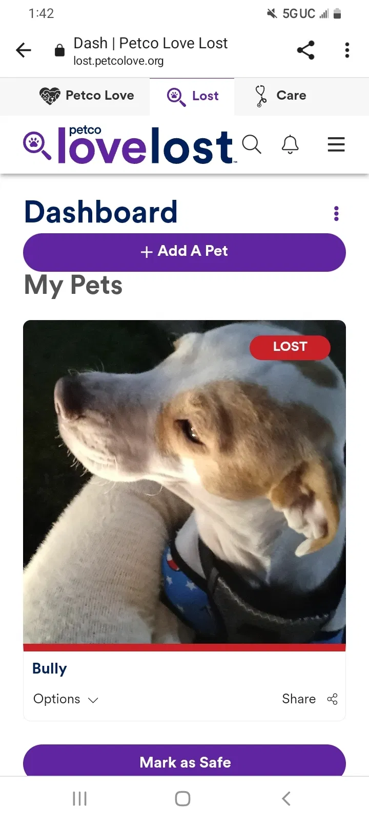 Lost dog in Yorba Linda, CA, 92886