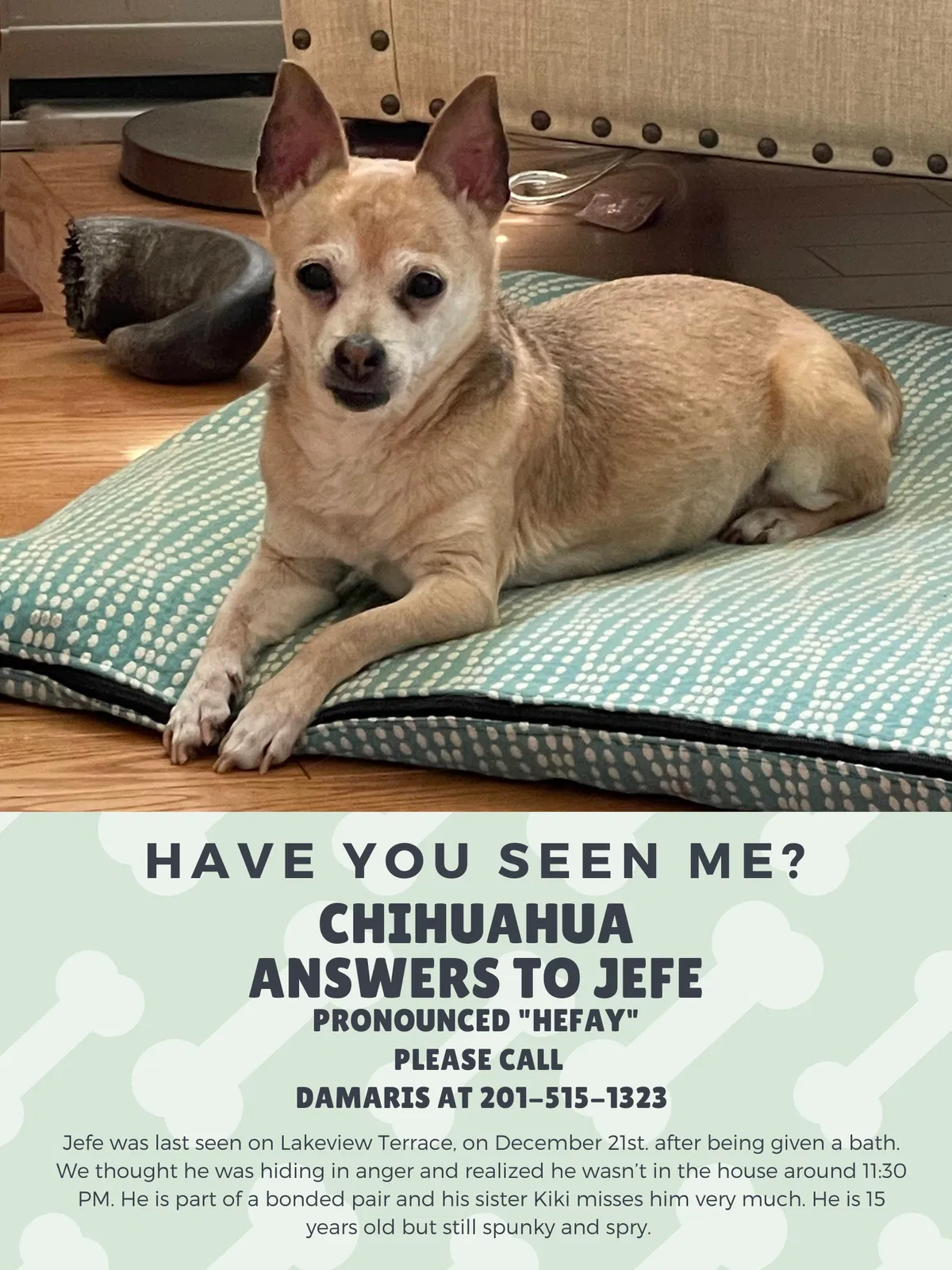 Lost dog in Sussex, NJ, 7461