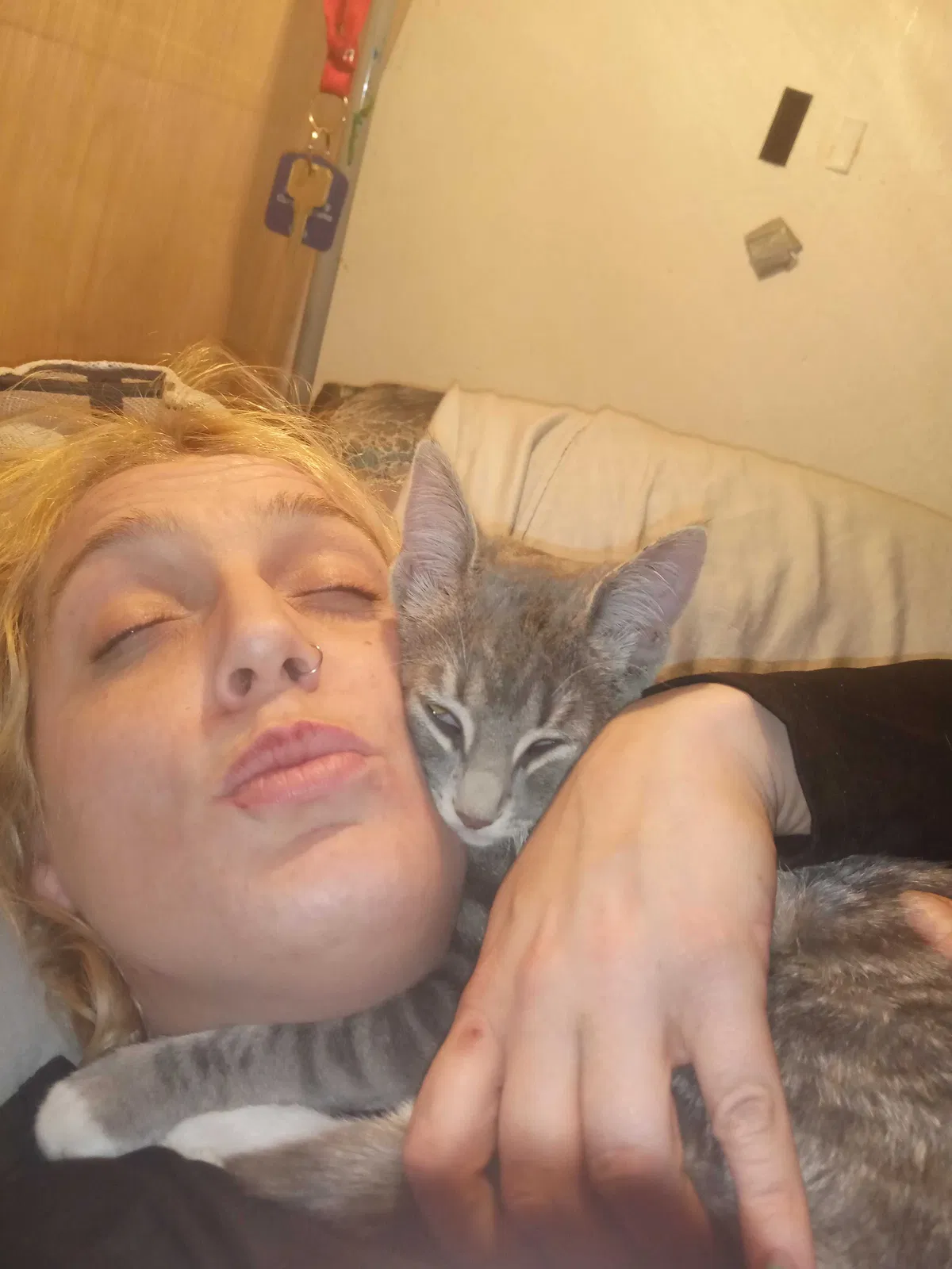 Lost cat in Sparks, NV, 89431