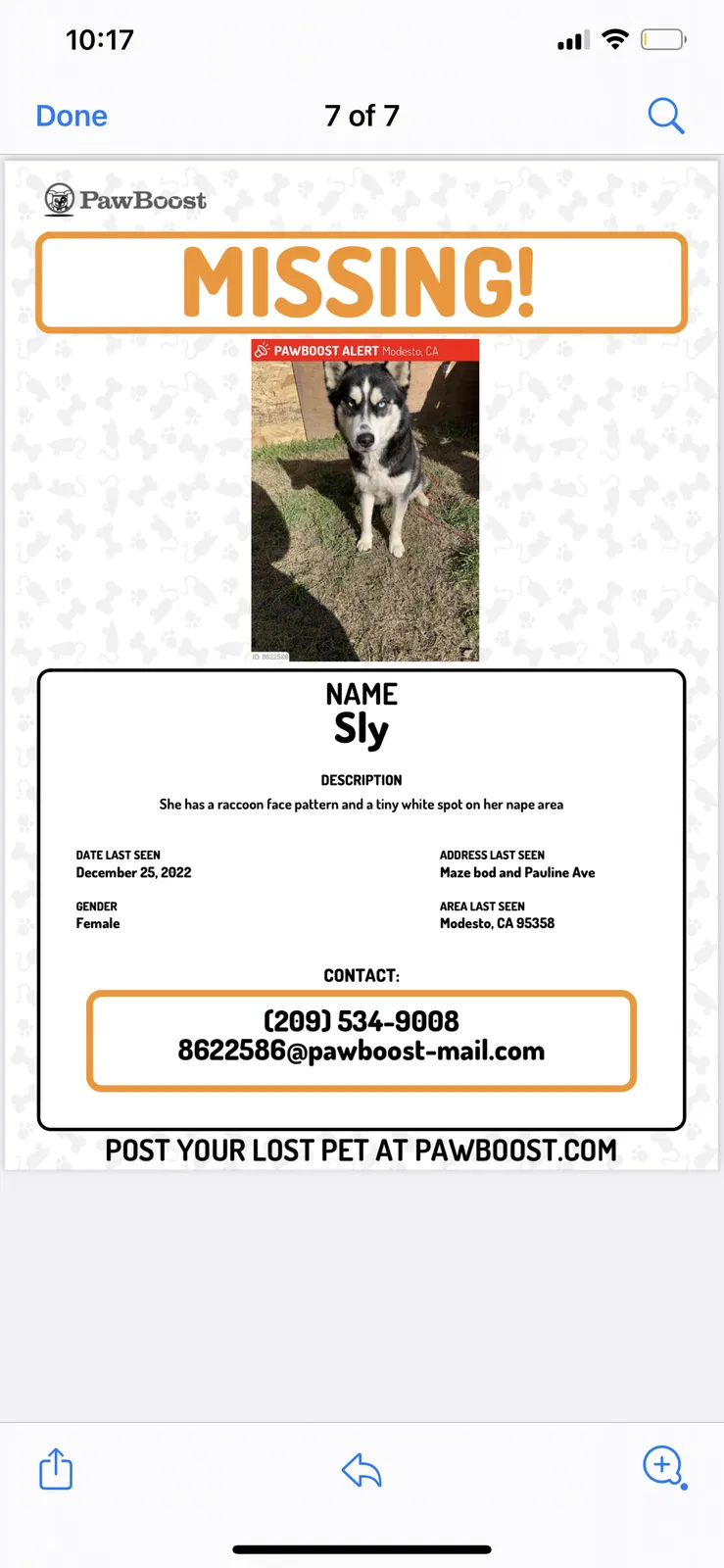 Lost dog in Modesto, CA, 95358