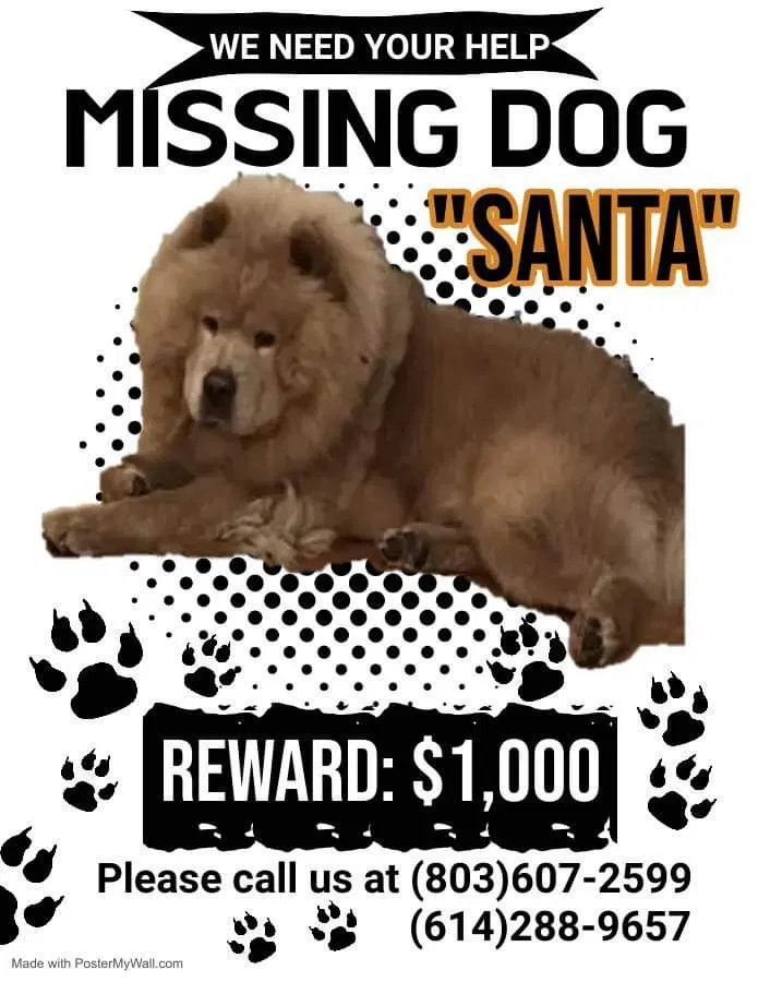 Lost dog in Sumter, SC, 29150
