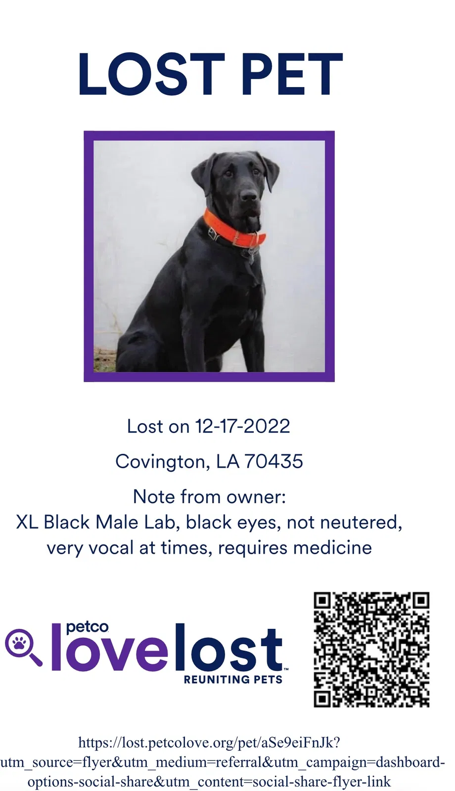 Lost dog in Covington, LA, 70435