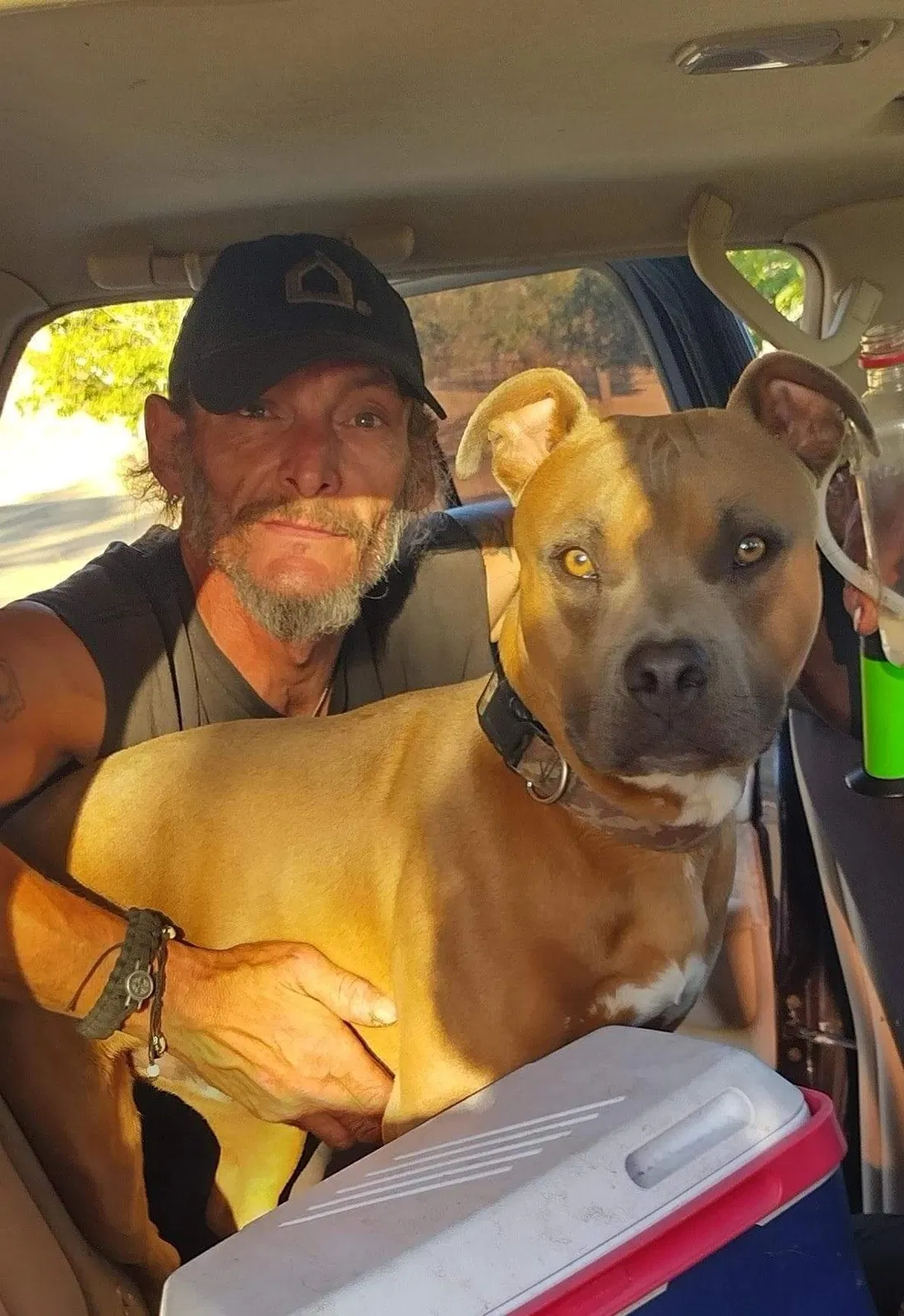 Lost dog in Visalia, CA, 93292