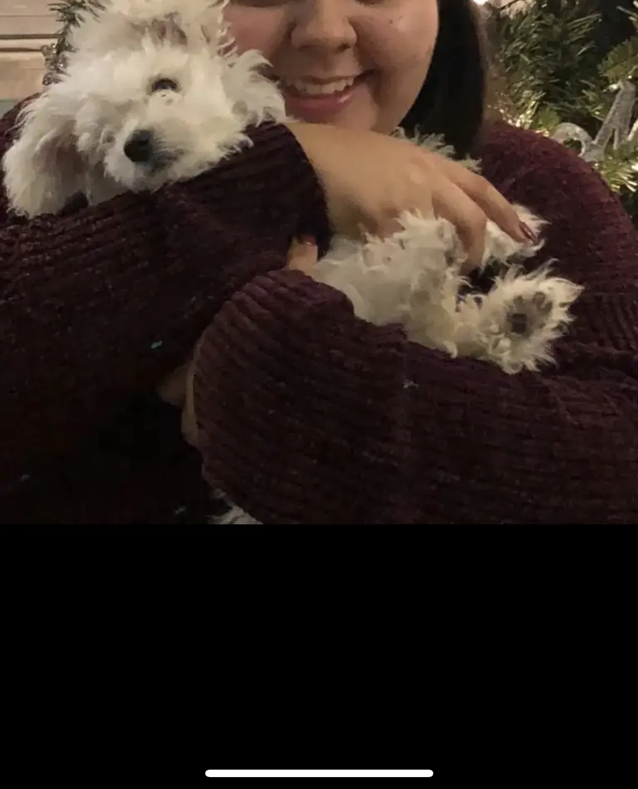 Lost dog in Clovis, CA, 93611