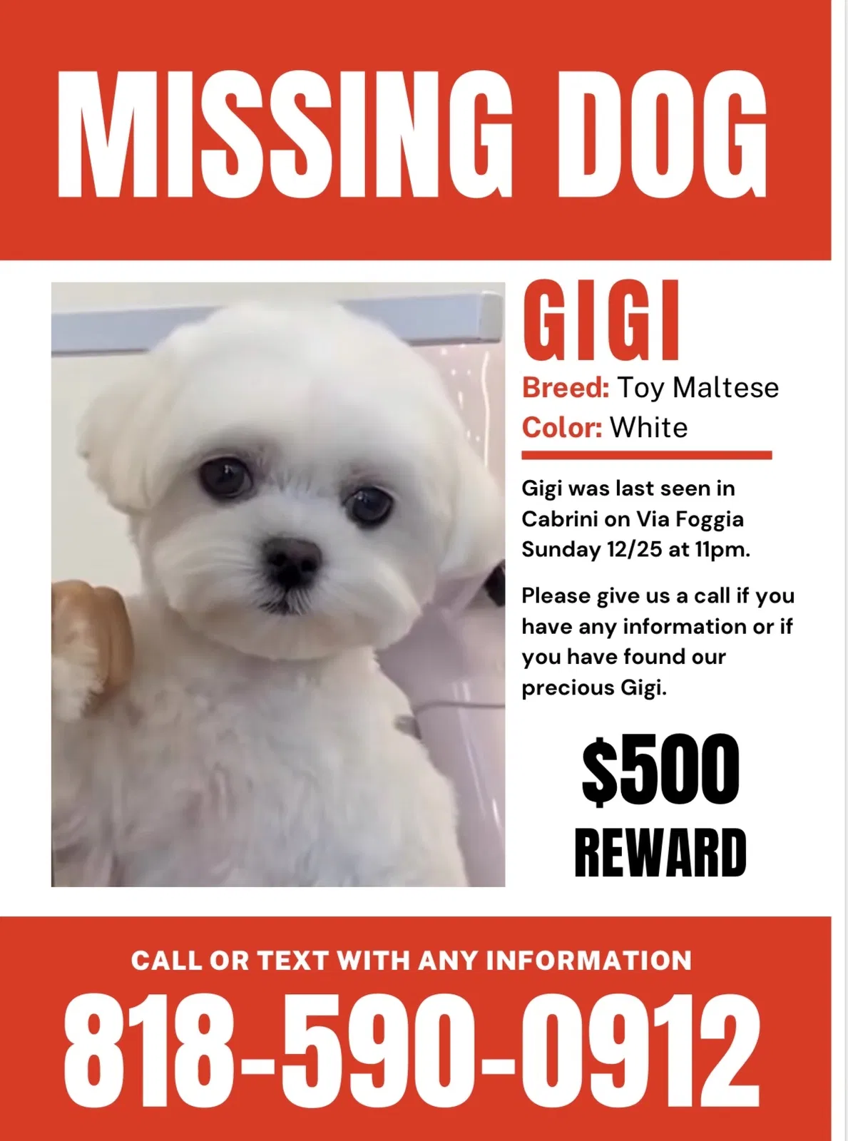 Lost dog in Burbank, CA, 91504