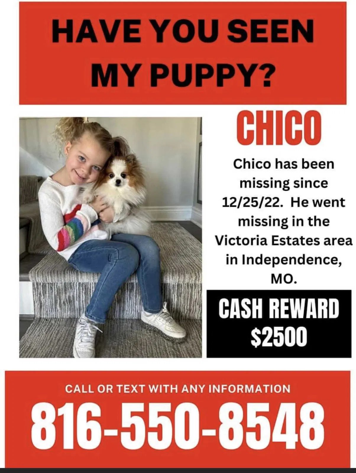 Lost dog in Independence, MO, 64055