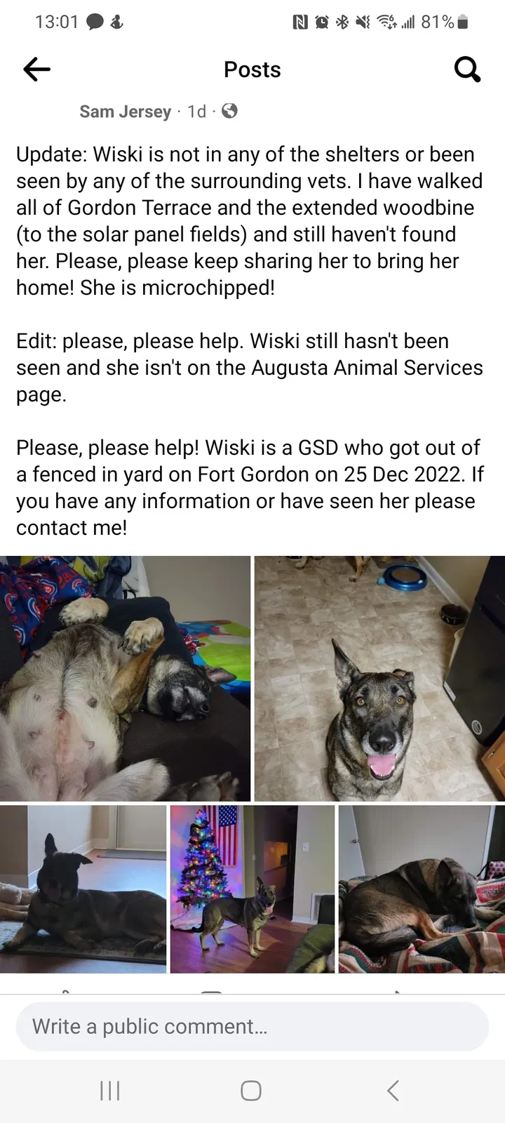 Lost dog in Augusta, GA, 30905