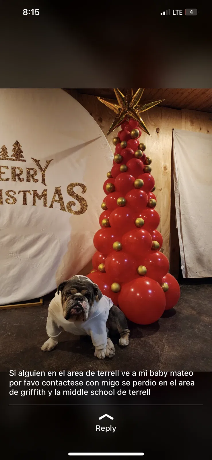 Lost dog in Terrell, TX, 75160