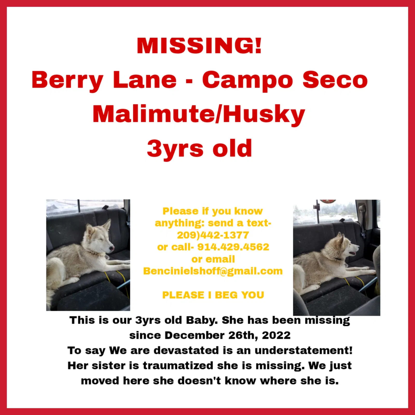 Lost dog in Sonora, CA, 95370