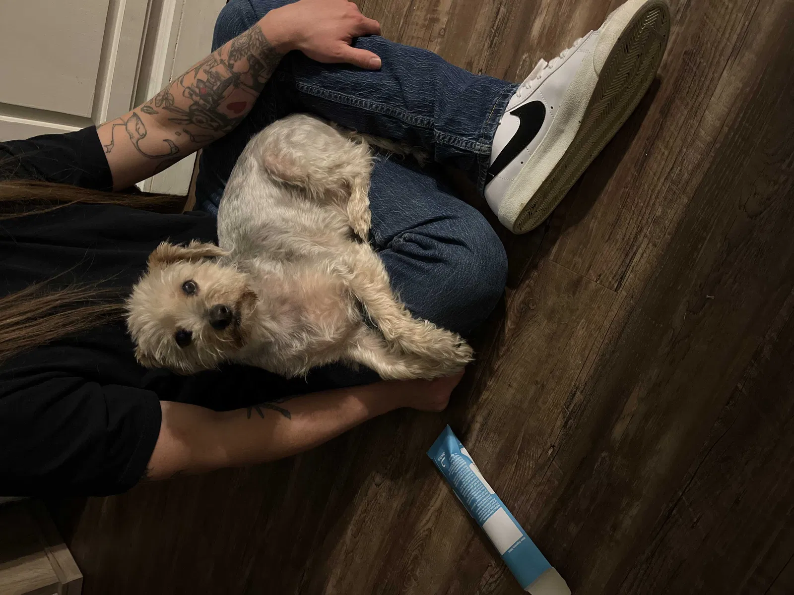 Lost dog in Noble, OK, 73068